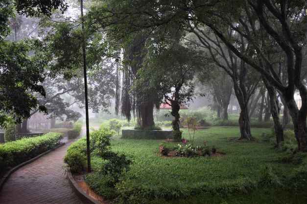 Nature Park